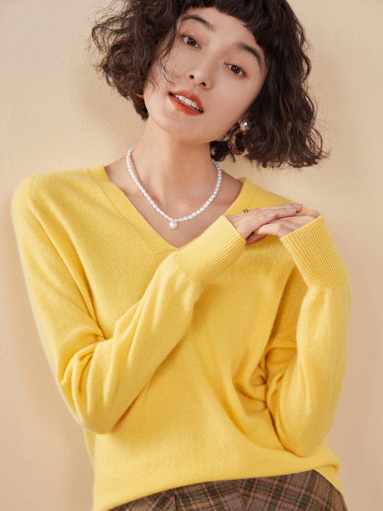 Cashmere V Neck Pullover Sweat - Resin Vat review and price