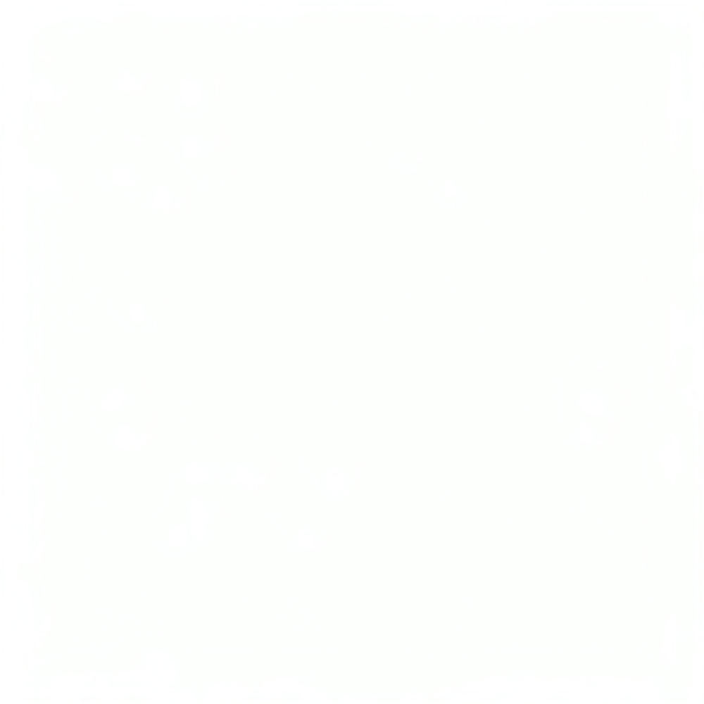 Spring Steel Sheet For Anycubi - Build Plate review and price